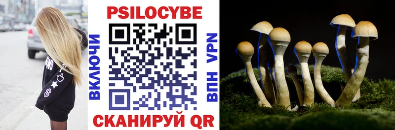 Галлюциногенные грибы Psilocybe МЕГА ссылка Избербаш